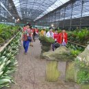 재즈마을리조트 이미지