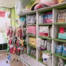 순돌뭐하니 이미지