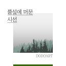 올여름~여름휴가는 여기서🌿 이미지