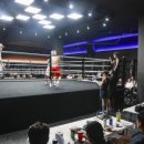 커키버팔로 복싱 클럽 이미지