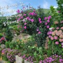 맛드림푸드 이미지