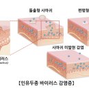 충무공약국 이미지