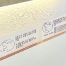 속초 하마식당 후기｜웨이팅, 후토마끼 마제소바 맛집, 조용한 감성 식당 추천