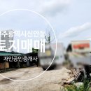 자인 행정사 이미지