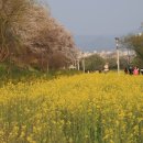 2024 새봄콘서트 이미지