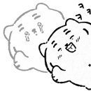 레드VR 이미지