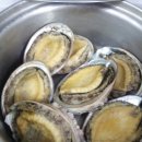 씨파크 해수탕 이미지