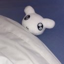 명랑한도그 | 로봇드림이미친영화가당장출동하겠습니다