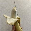 (주)에소코 이미지