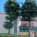 송정유치원 이미지