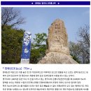 ♣3/4(토)천태산 영국사 은행나무 이미지