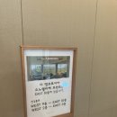 2일차 / 고성 소노펠리체 더 엠브로시아 울산바위뷰 카페 오픈런 후기 / 속초 중앙시장 , 이바이마을 갯배