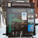 삼일렌트카 | [홋카이도] 1월 삿포로 아기랑 5박 6일 Day3_비에이 당일치기/아사히야마동물원/렌트카 교통사고 후기