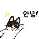 김선정헤어