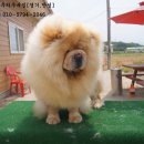 우네농장 이미지