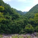 지리산터널펜션 이미지