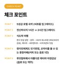 성비 이미지