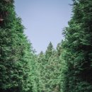 연사랑 목장 이미지