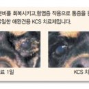 수유온누리약국 이미지