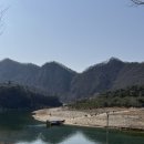 관음송 | 왕사남 보고 다녀온 영월 청령포 따끈한 후기 /단종 관음송 전설