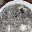 119세탁크리닝 이미지