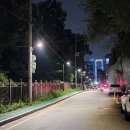 압구정-259 이미지