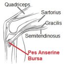 동행한의원 이미지