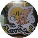달에서 온 산오징어 이미지