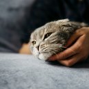 참누리동물병원 이미지