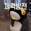 메타복싱 이미지