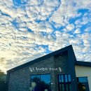 쑤기네 풀 | { 칠곡 독채 펜션 } 넓은 마당과 개별바베큐장, 개별풀장이 있는 칠곡 쑤기네 풀 후기