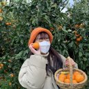 새우리농장 이미지