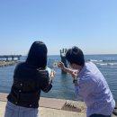 하나관광포항