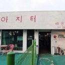 [아지터] 대구동촌유원지 애견카페 / 대구애견카페추천
