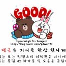 채록지펜션2 이미지