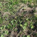 가실농장 이미지