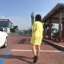 은혜카공업사 | 제주 여름휴가 짧게보는 팁! (feat.스노쿨링포인트, 렌트카사고tip)