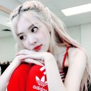 로제12 이미지