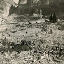 바이온트 이미지