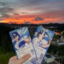 스카이21 | 삼성 라이온즈 파크 스카이 하단 21구역 시야, 노랑 통닭 직관 후기