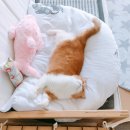 미유컴퍼니