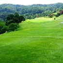 천룡컨트리클럽 이미지