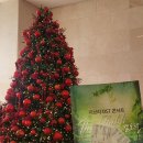 논산아트센터(대공연장) | 수원_지브리 OST 콘서트 with 첼로댁 다녀온 후기 경기아트센터 대공연장 A구역 3열 1.2번 좌석