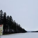 유연목장 | 오비히로 렌트카 여행 코스｜시카리베츠 호수, 토카치 목장 드라이브