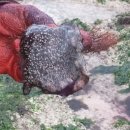 송당초등학교 병설유치원 이미지