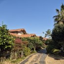 정원하우스 | 제주도독채펜션 웨스티하우스 정원 예쁜 숙소 후기