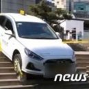 A+ 펫택시 이미지