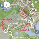 호텔메세지 | 상하이 푸동공항 호텔 캐리어 수하물 배송 후기 + 디즈니랜드 짐보관 꿀팁