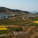 여수길 이미지