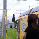 올바른버스노동조합 | 서유럽패키지여행 이탈리아 스위스 2국 7박9일 모두투어 2일차 후기 / 피렌체 시티투어